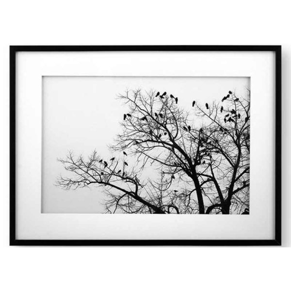 تابلو مدرن لوتوس مدل درخت و پرنده ها -FLOCK OF BIRDS ON TREE-کد WA-99104