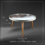 میز جلو مبلی مدل ALMA LUCCA کد LT-731 رنگ GRAY