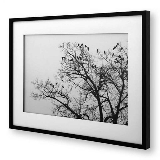 تابلو مدرن درخت و پرنده ها (FLOCK OF BIRDS ON TREE) کد WA-99104 WH/BL