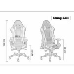 صندلی گیمینگ گلدسیت مدل GX3